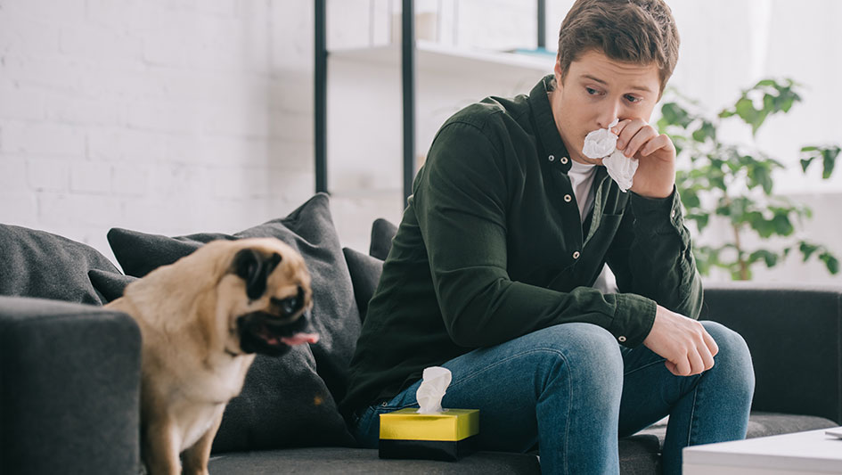 Installing an air purifier is one of the wisest approaches to boost your home’s indoor air quality. Learn more about the three smartest solutions. 